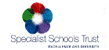 Specialist Schools Trust